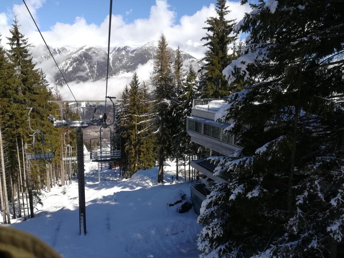 Sole Alto Montana * Mezzana (Trentino Alto Adige)