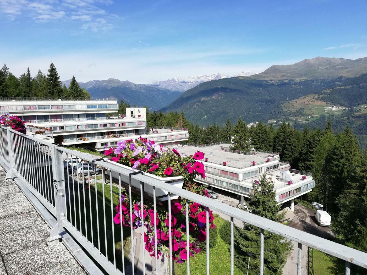 Apartment Sole Alto Montana Mezzana (Trentino Alto Adige)