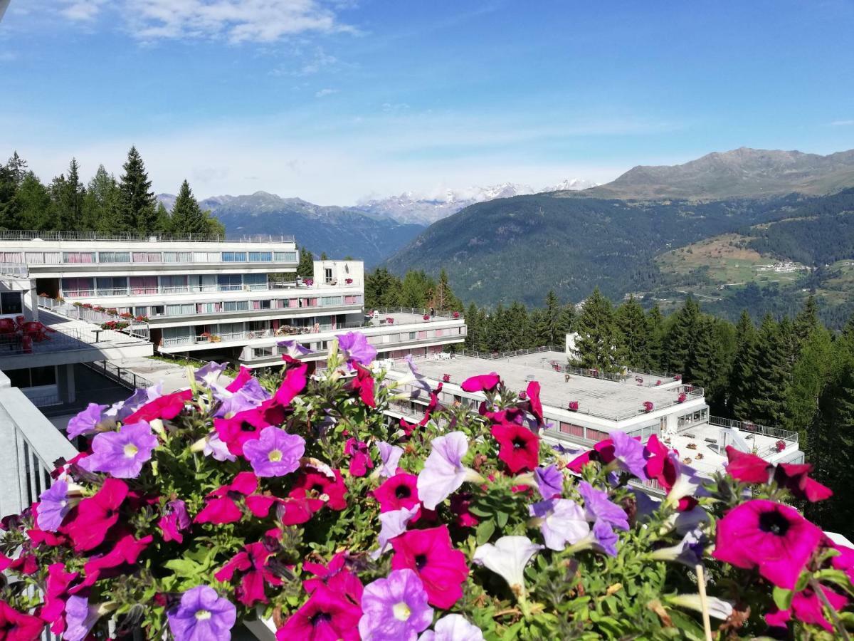 Apartment Sole Alto Montana