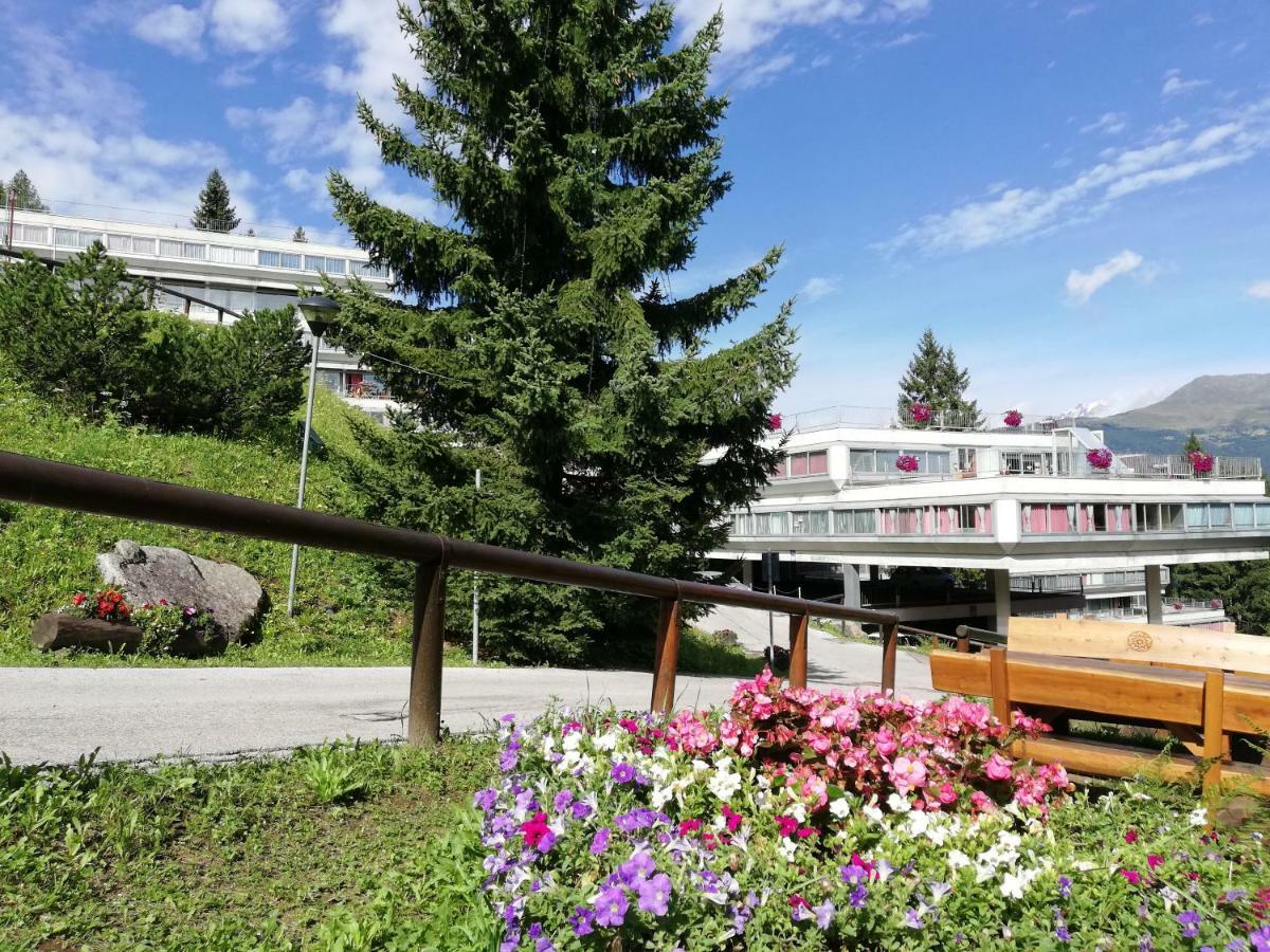 Sole Alto Montana Apartment Mezzana (Trentino Alto Adige)