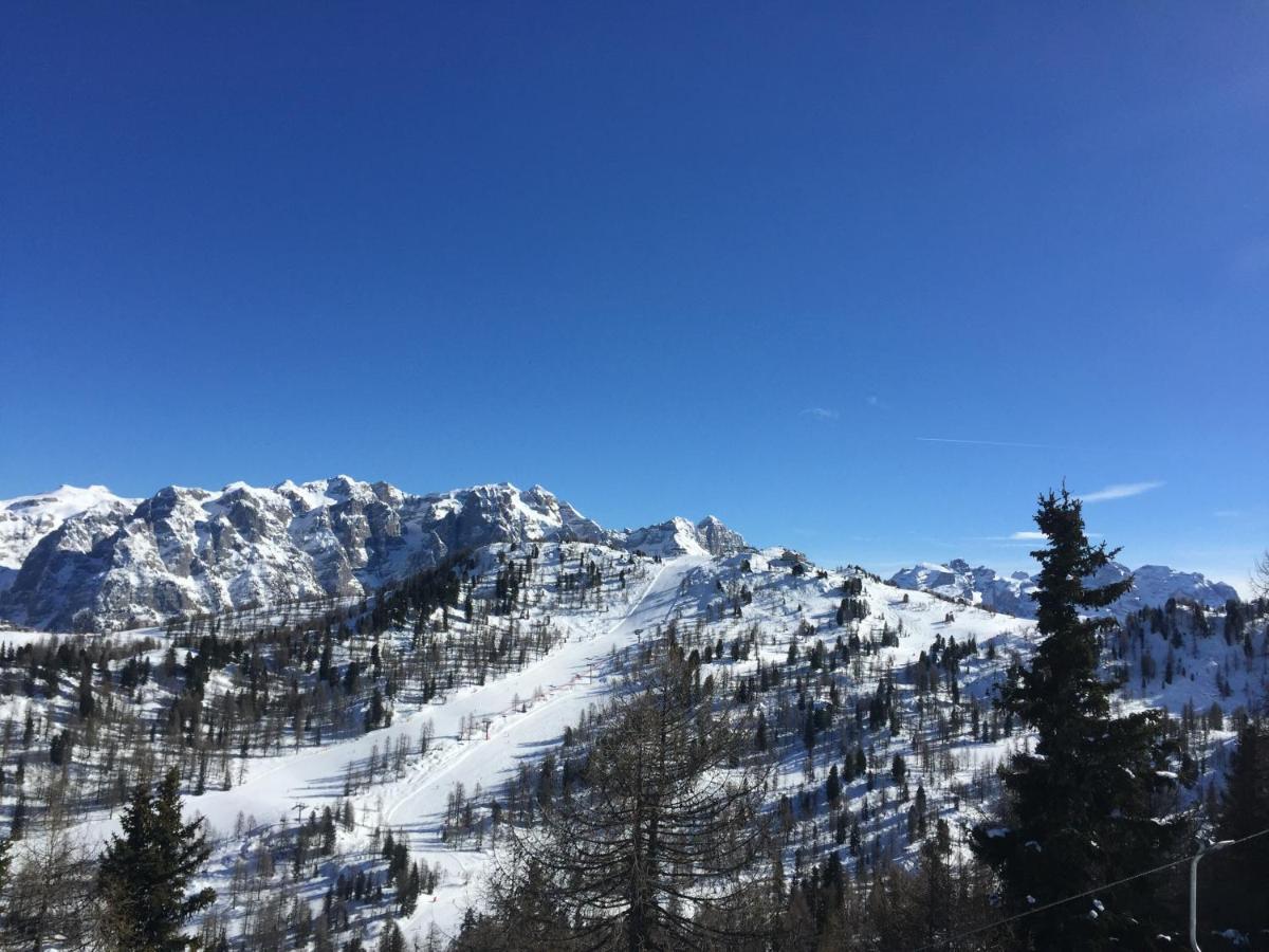 Apartment Sole Alto Montana Mezzana (Trentino Alto Adige)